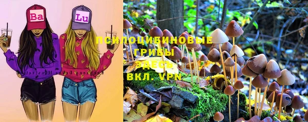 МДПВ Наволоки